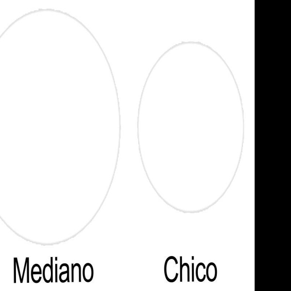 SELLO ADH. SERIE B 679 PADI BOL. C100 PZ. E.25